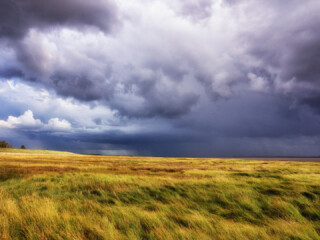 Landscapes